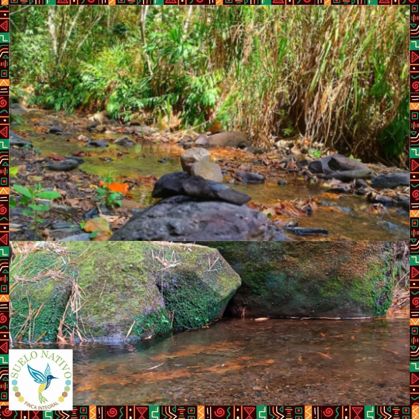Hotel Finca Integral Suelo Natiivo "Integramos El Campo Con Tu Bienestar" Guaduas Esterno foto