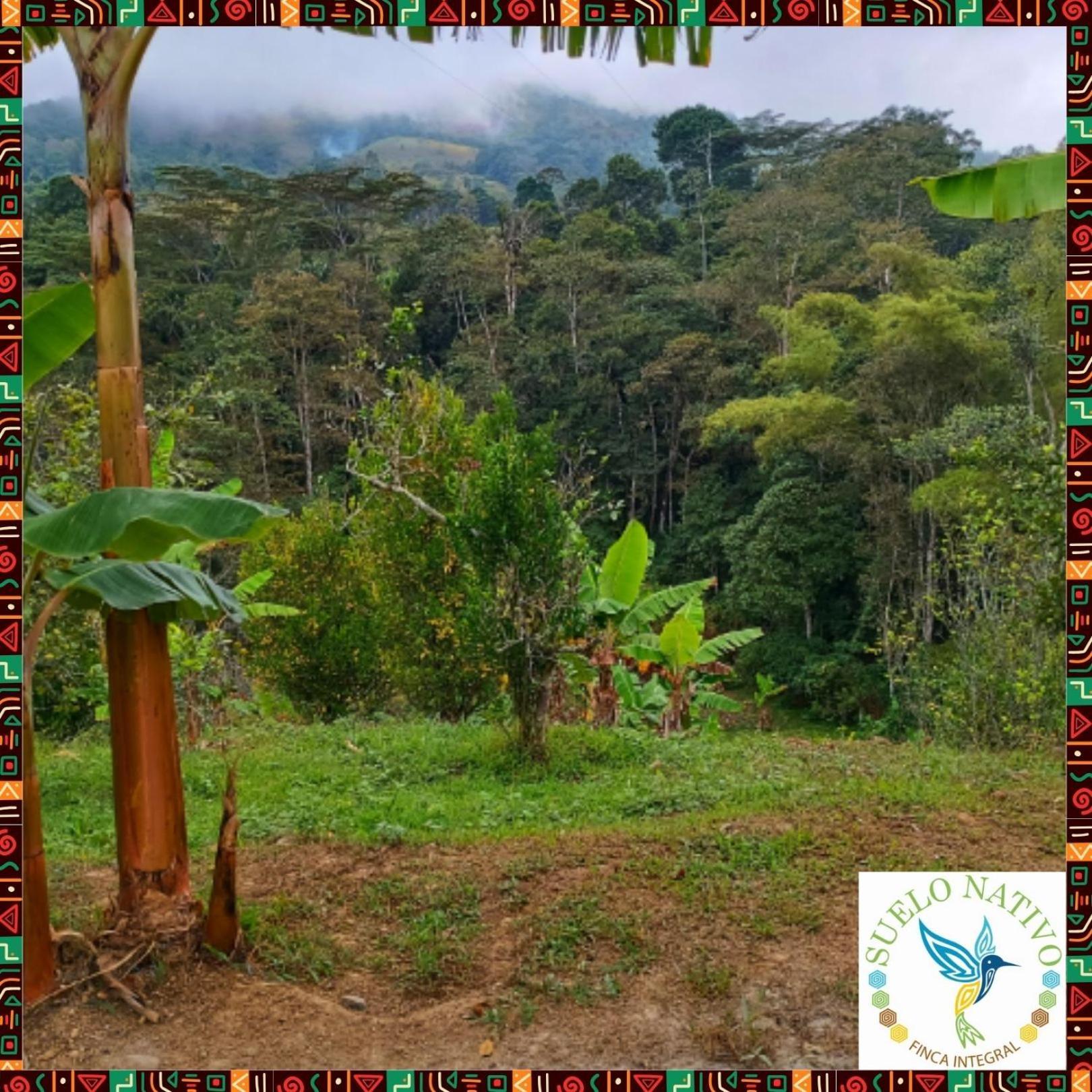 Hotel Finca Integral Suelo Natiivo "Integramos El Campo Con Tu Bienestar" Guaduas Esterno foto