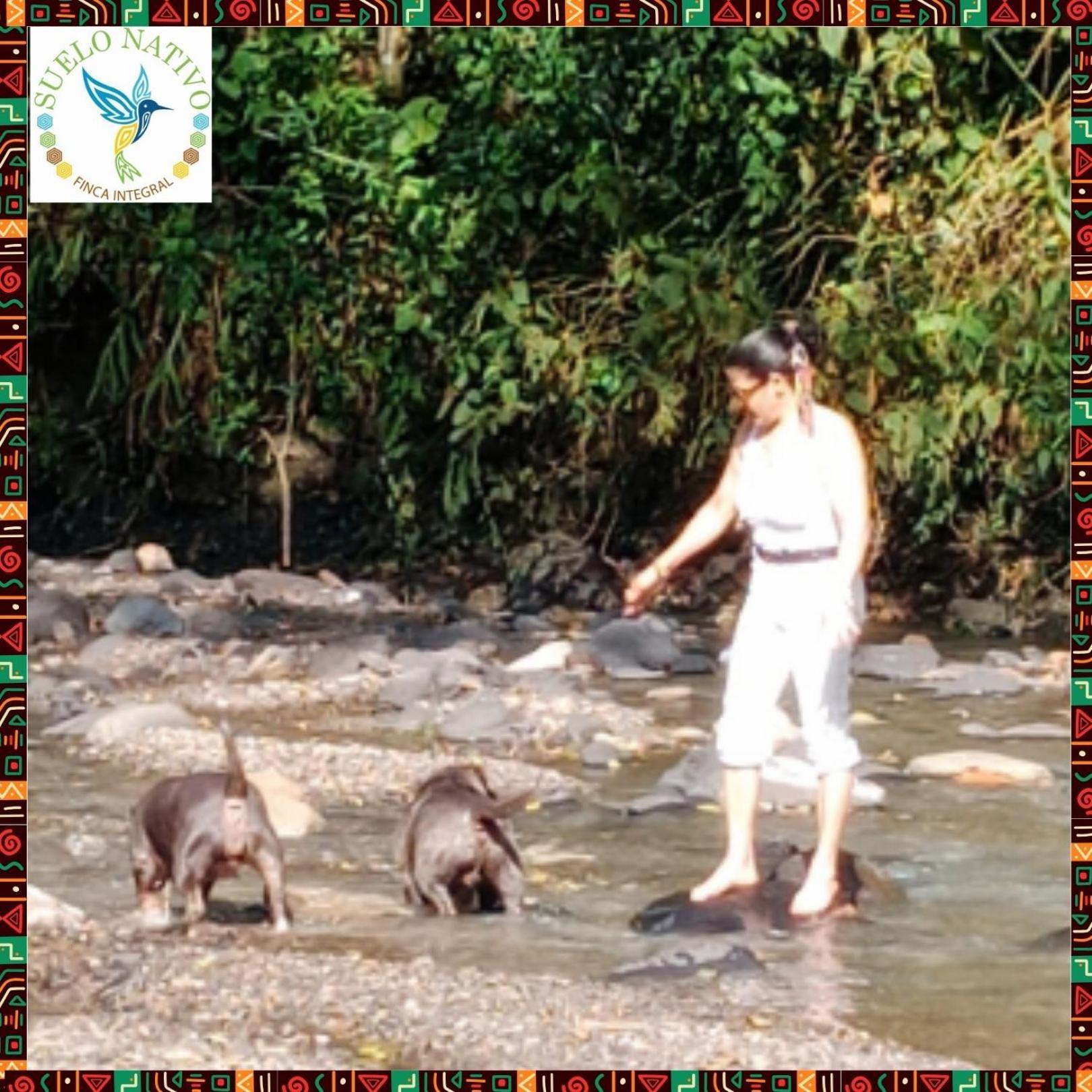 Hotel Finca Integral Suelo Natiivo "Integramos El Campo Con Tu Bienestar" Guaduas Esterno foto
