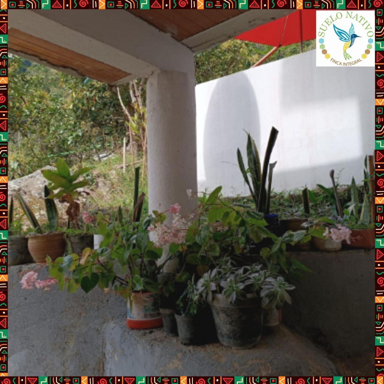 Hotel Finca Integral Suelo Natiivo "Integramos El Campo Con Tu Bienestar" Guaduas Esterno foto